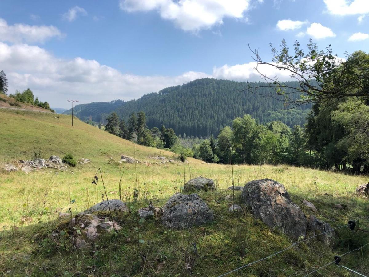 Ferienwohnung Eulennestle Lenzkirch Exterior foto