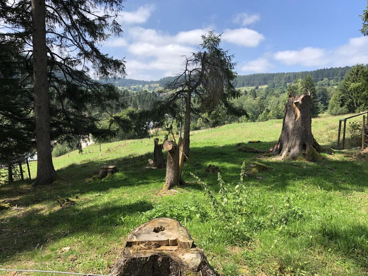 Ferienwohnung Eulennestle Lenzkirch Exterior foto